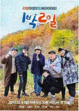 国产综艺城市漫游记免费在线观看